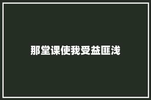 那堂课使我受益匪浅