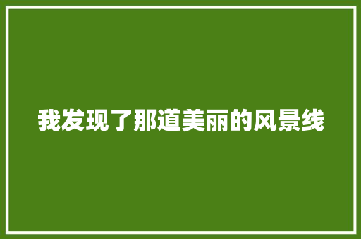 我发现了那道美丽的风景线