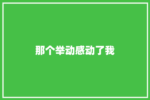 那个举动感动了我