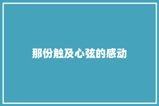 那份触及心弦的感动