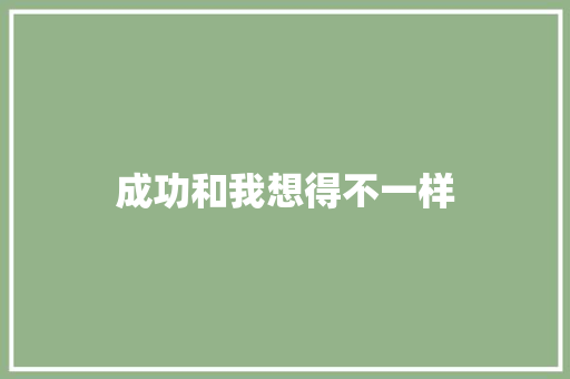 成功和我想得不一样