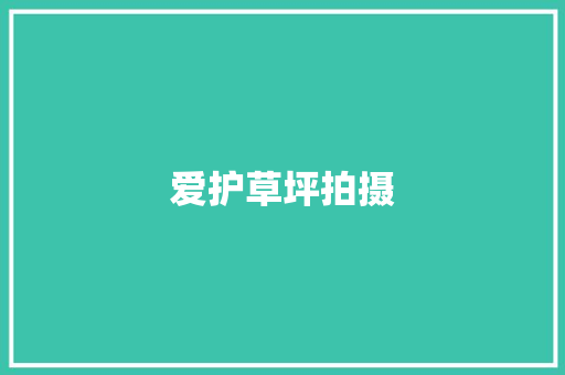 爱护草坪拍摄