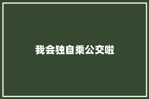 我会独自乘公交啦