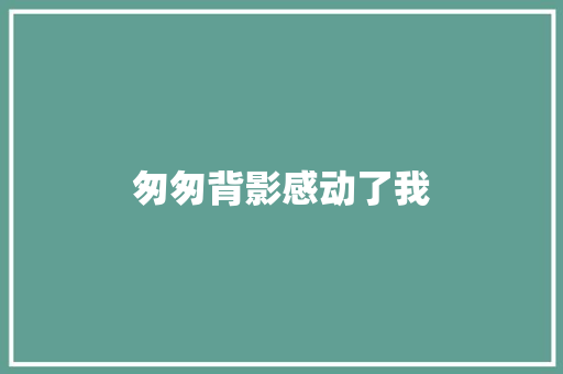 匆匆背影感动了我