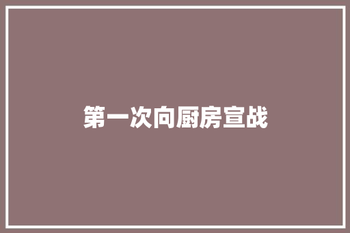 第一次向厨房宣战