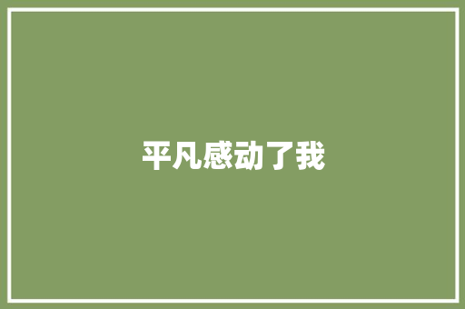 平凡感动了我