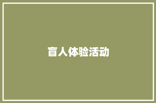 盲人体验活动