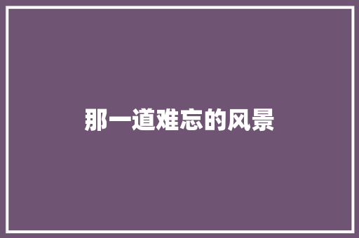 那一道难忘的风景