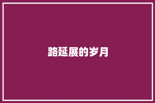 路延展的岁月
