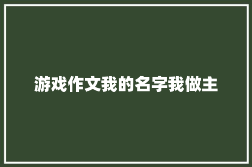 游戏作文我的名字我做主