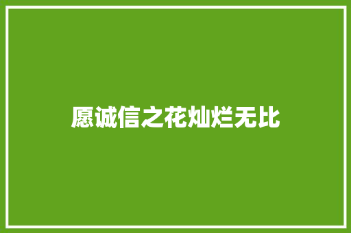 愿诚信之花灿烂无比