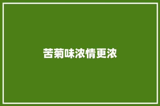 苦菊味浓情更浓