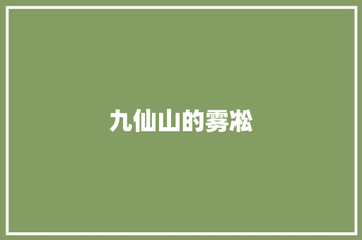九仙山的雾凇