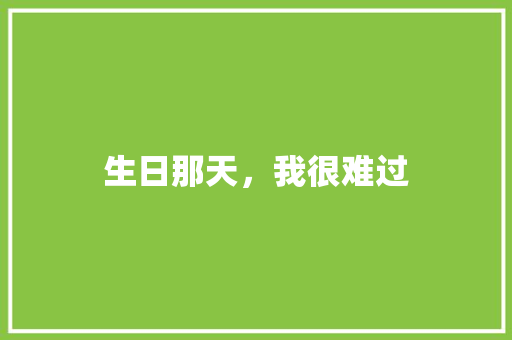 生日那天，我很难过