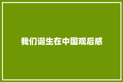 我们诞生在中国观后感