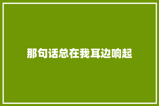 那句话总在我耳边响起