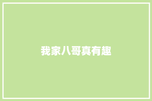我家八哥真有趣