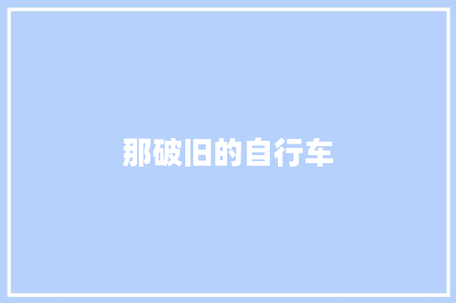 那破旧的自行车