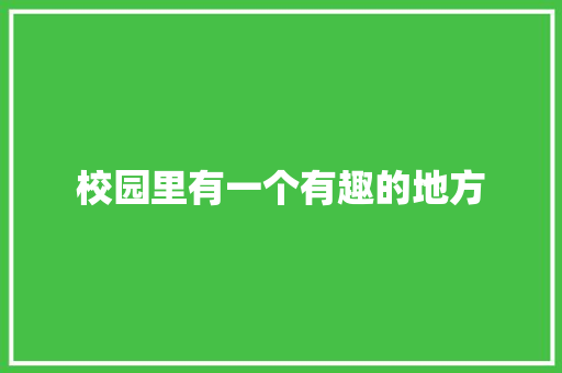 校园里有一个有趣的地方