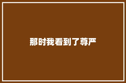 那时我看到了尊严