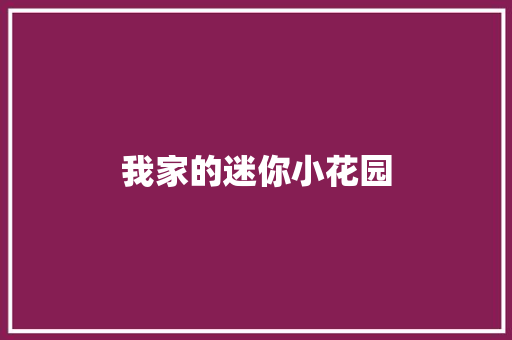 我家的迷你小花园