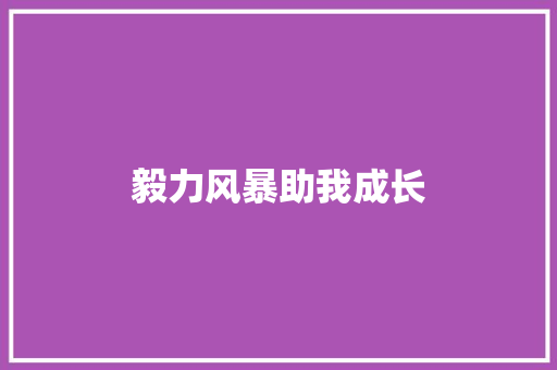 毅力风暴助我成长