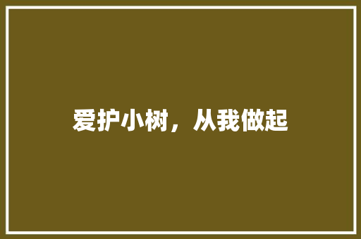 爱护小树，从我做起