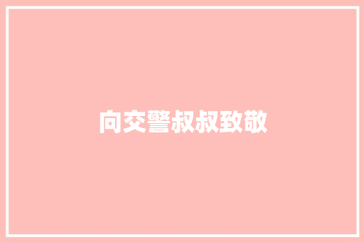 向交警叔叔致敬