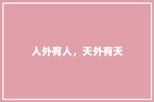 人外有人，天外有天
