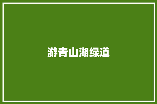 游青山湖绿道