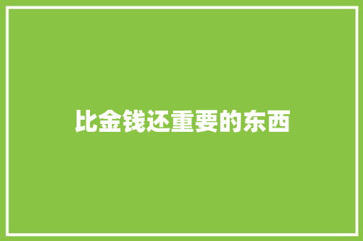 比金钱还重要的东西