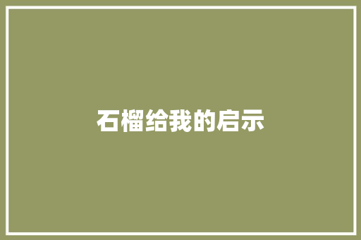 石榴给我的启示