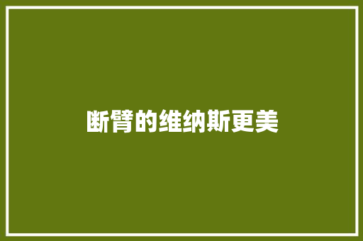 断臂的维纳斯更美