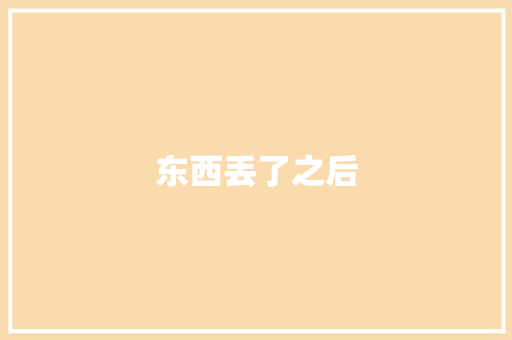 东西丢了之后