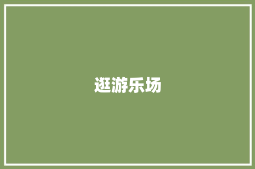 逛游乐场