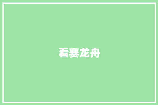 看赛龙舟