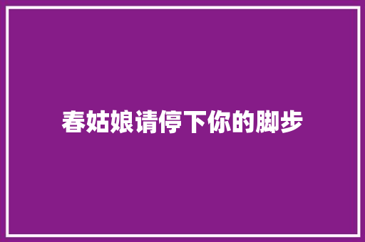 春姑娘请停下你的脚步