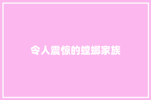 令人震惊的螳螂家族