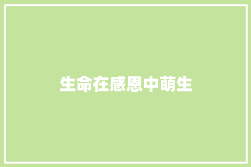 生命在感恩中萌生