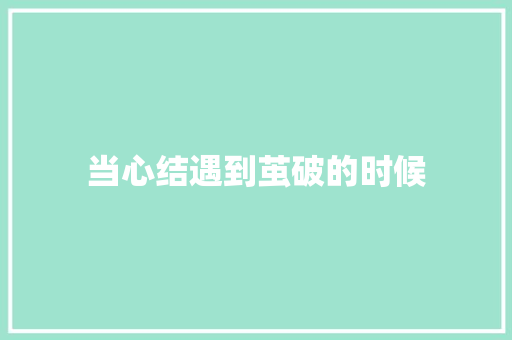 当心结遇到茧破的时候