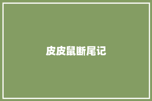 皮皮鼠断尾记