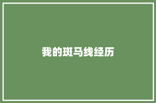 我的斑马线经历