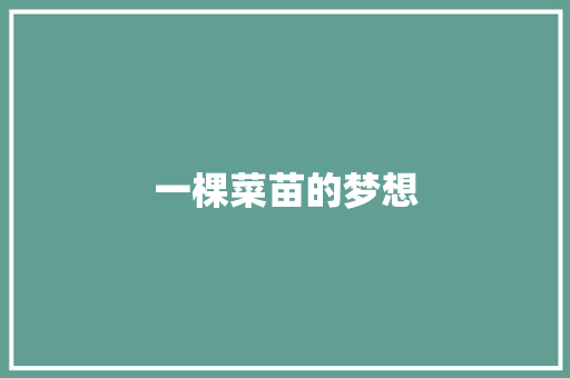 一棵菜苗的梦想