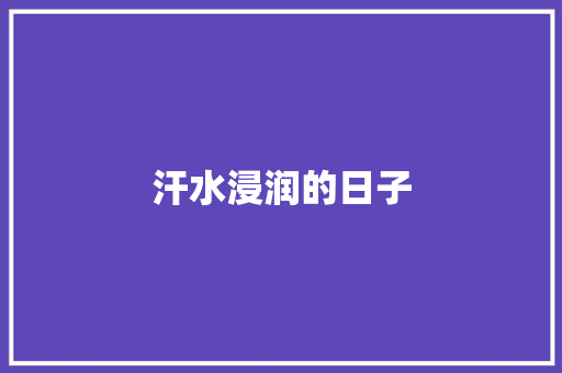 汗水浸润的日子