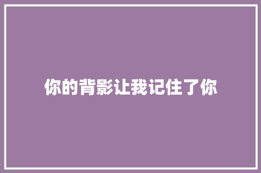 你的背影让我记住了你