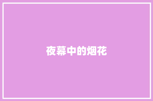 夜幕中的烟花