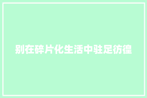 别在碎片化生活中驻足彷徨