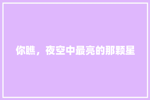 你瞧，夜空中最亮的那颗星