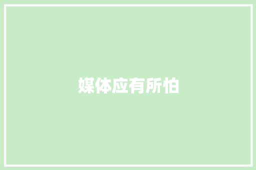 媒体应有所怕