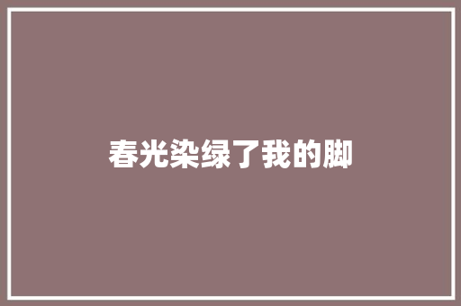 春光染绿了我的脚